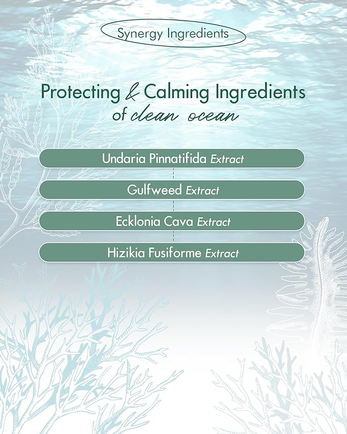 SKINCURE Vegan Seaweed Mud Mask, Korean skincare Blackhead Remover Clay Mask for Pore Cleansing with Kaolin & Bentonite, Oil Control & Gentle Exfoliation, 3.5oz-Velvo Beauty