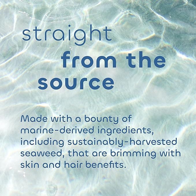 Seaweed Bath Co. Hydrate Body Cream, Citrus Vanilla Scent, 6 Ounce, Nourishing Hand & Body Lotion Moisturizer for Dry Skin, with Sustainably Harvested Seaweed, Kukui Oil, Hyaluronic Acid, Shea Butter-Velvo Beauty