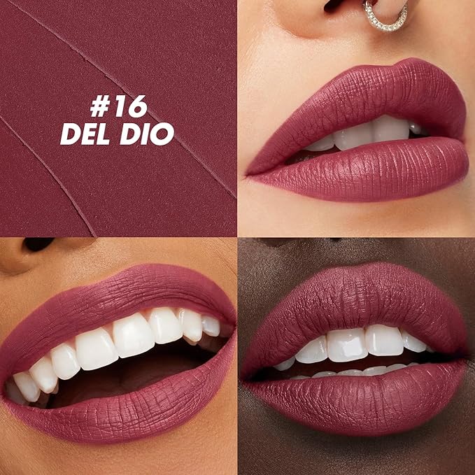 FOCALLURE Ultra Chic Matte Lipstick,Rich Vitamin E Lip Crayon,Lightweight Matte Color without Drying or Fading,Long Lasting Waterproof Lips Makeup,DEL RIO-Velvo Beauty