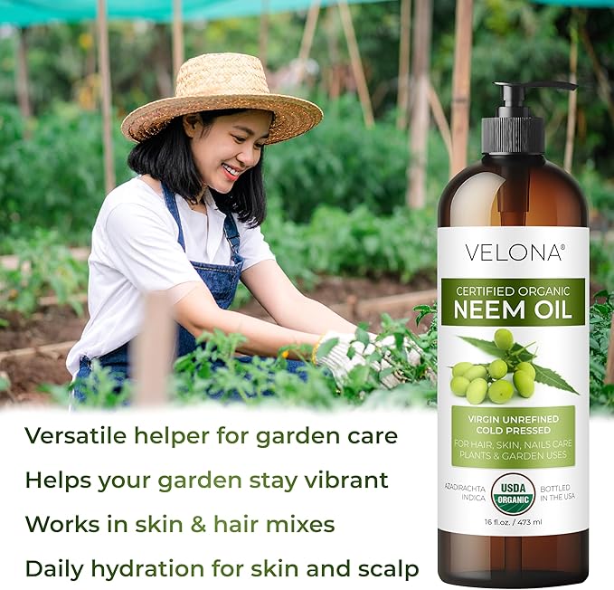 velona Neem Oil USDA Certified Organic - 16 Fl Oz | 100% Pure and Natural Carrier Oil | Virgin, Unrefined, Cold Pressed | Hair, Body and Skin Care | Use Today - Enjoy Results-Velvo Beauty