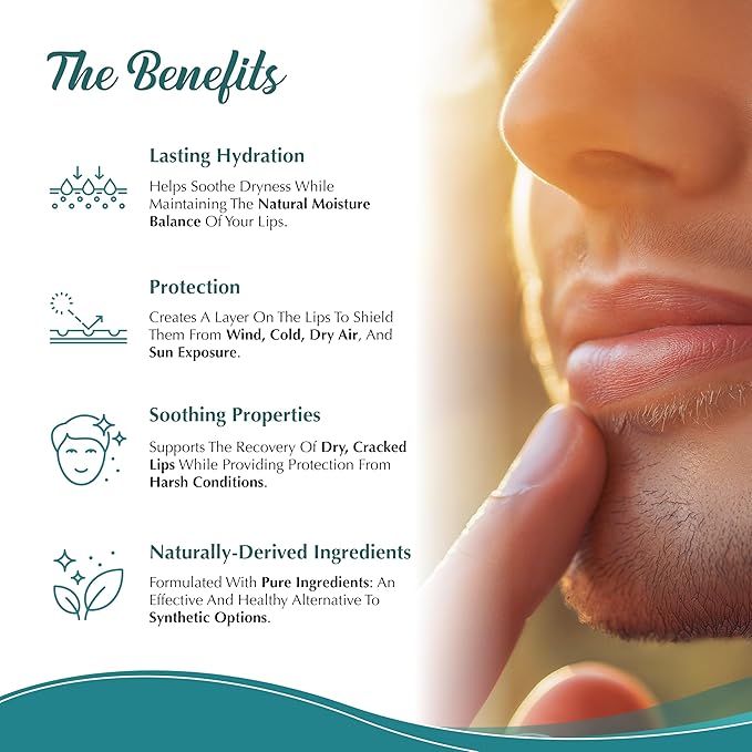 Moisturizing Tallow Lip Balm – Grass-Fed Beef Tallow with Organic Coconut Oil, Beeswax, and Vitamin E – Unscented Lip Balm Set – Travel Essential - 3-Pack-Velvo Beauty