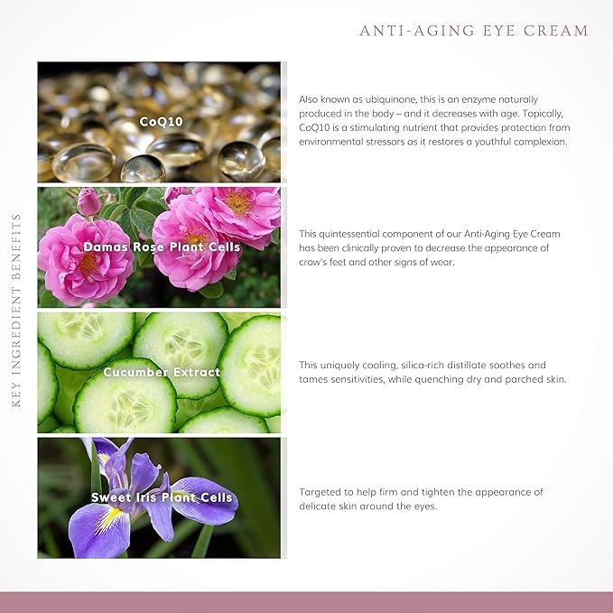 Annmarie Skin Care Anti-Aging Eye Cream - With Antioxidant-Rich Green Tea, Eyebright & Cucumber Extract, Soothing for Puffiness, Fine Lines and Wrinkles, All Skin Types (15ml, 0.5 fl oz)-Velvo Beauty