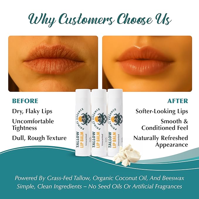 Moisturizing Tallow Lip Balm – Grass-Fed Beef Tallow with Organic Coconut Oil, Beeswax, and Vitamin E – Unscented Lip Balm Set – Travel Essential - 3-Pack-Velvo Beauty