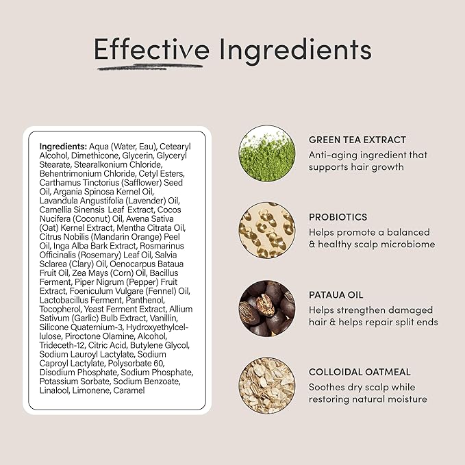 Jupiter, Physician-Formulated Scalp Balancing Conditioner for Dry, Itchy, Oily, Flaky Scalp, Sulfate-Free, Natural Fragrance, Vegan, Color-Safe, & Paraben-Free Conditioner for Women & Men-Velvo Beauty