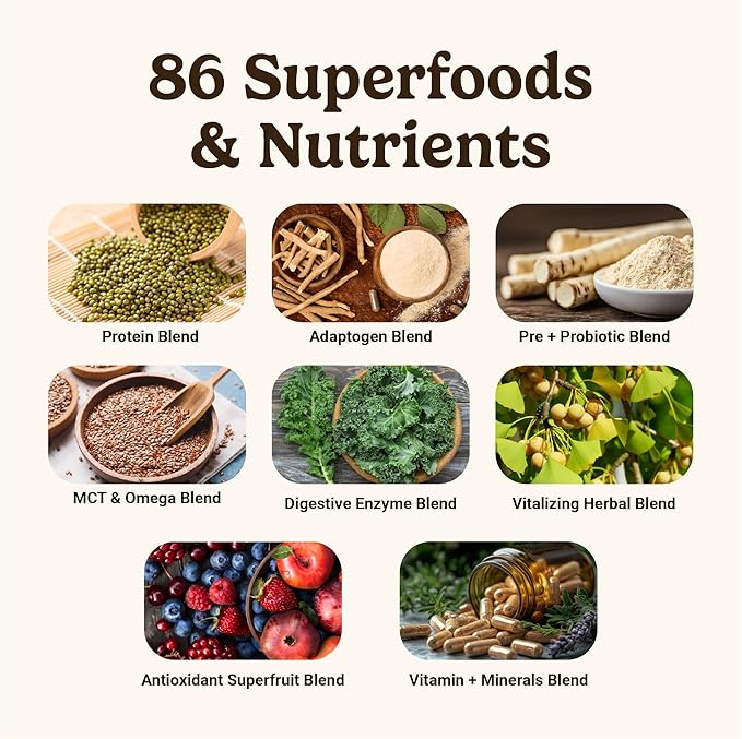 VitaHustle ONE Max Protein Powder, 30g Plant Protein + 5g Creatine, All-in-One Meal Replacement Shake with Greens, Adaptogens, Ashwagandha, Probiotics & Vitamins – Vanilla Ice Cream, 15 Servings-Velvo Beauty