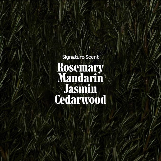 Nécessaire Rosemary Hair Duo - Rosemary Shampoo and Conditioner for Women + Men. Rosemary Oil + Proteins For Stronger Hair. Good for All Hair Types/Textures. 250 ml / 8.4 fl oz-Velvo Beauty