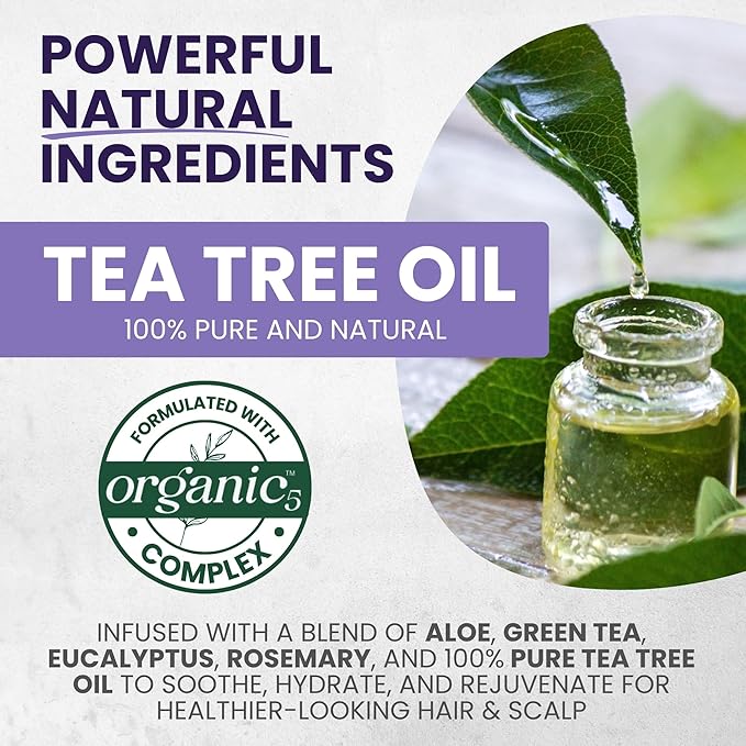 Tea Tree Purple Shampoo & Conditioner Set for Blonde, Bleached, Silver & Grey Hair, Anti-Brass Toner, Boosts Highlights & Color, Revitalizes, Relieves Itchy Scalp & Salon-Grade Hair Toner.-Velvo Beauty