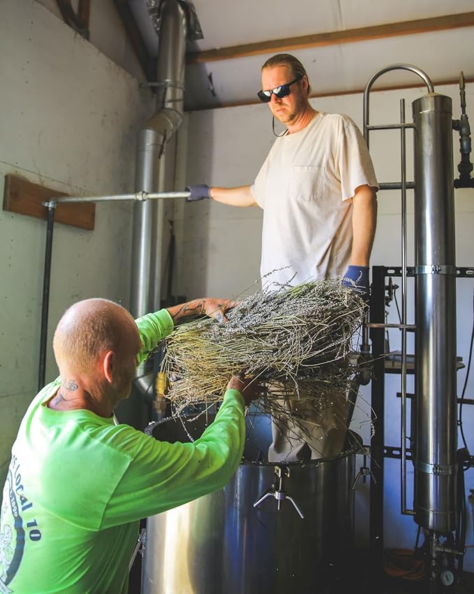 Victoria's Lavender Aromatherapy Body Mist Spray - After Sun Solar Recovery Spray with Aloe Vera plus Lavender Essential Oil - Hydrating, Moisturizing Aloe Vera Mist, Made in the USA, 4 oz (120 ml)-Velvo Beauty