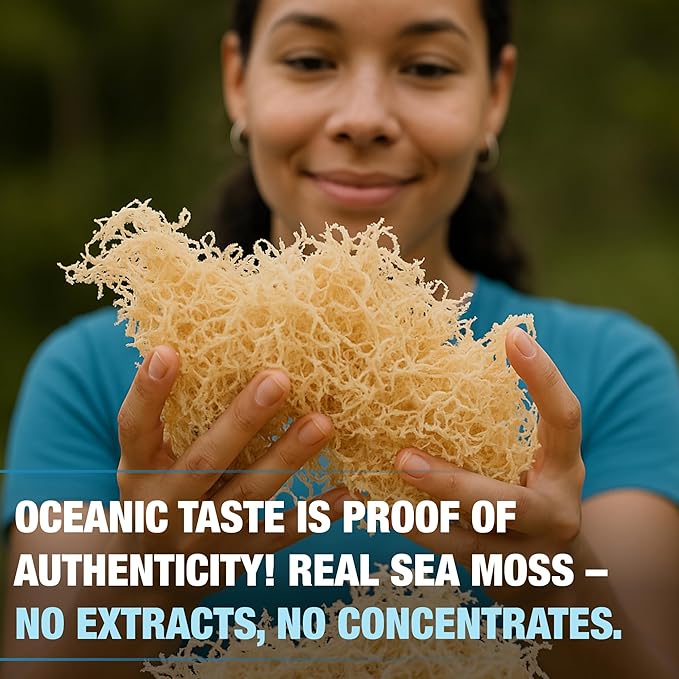 Sea Moss Gel - Lime 16oz, Wildcrafted Irish Seamoss with Essential Vitamins & Trace Minerals, Vegan Superfood Made in USA-Velvo Beauty