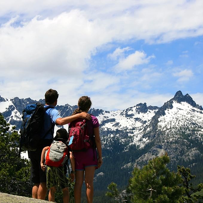 Badger Highland Mint Classic Lip Balm - 0.15oz Stick-Velvo Beauty