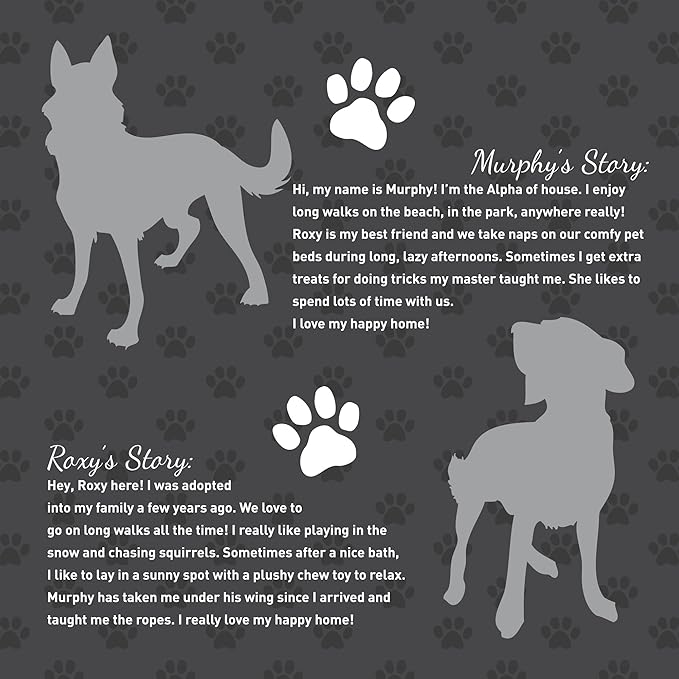 MR30 Murphy & Roxy Pet's Super Absorbent, Six-Layer, Scented Training Pads (30 Pack), Blue-Velvo Beauty