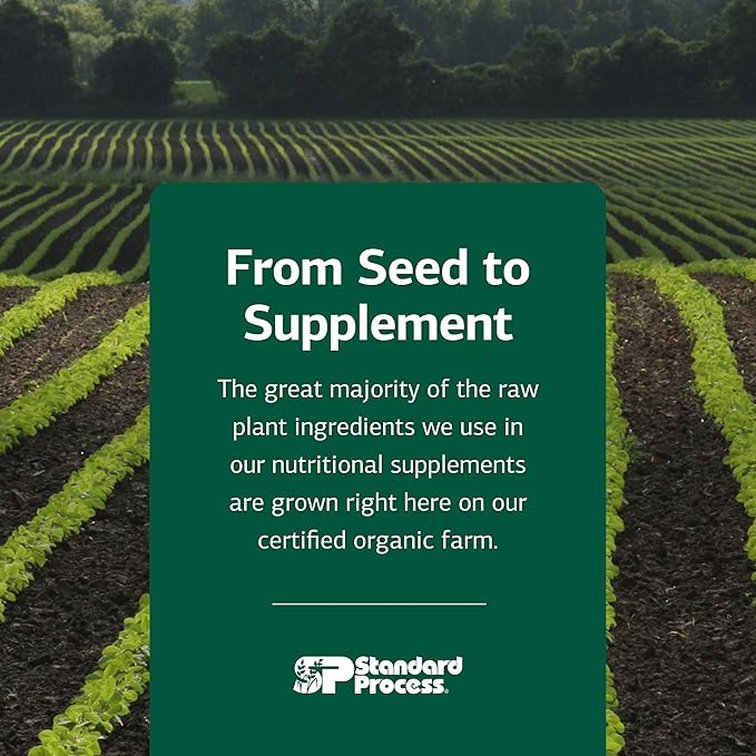 Standard Process USF Ointment - Supports Soft, Healthy Skin - Moisturizing Skin Cream for Dry Hands & Body - 1.8 oz-Velvo Beauty