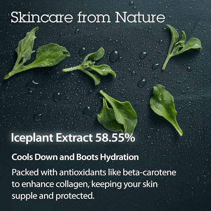 BLITHE Pressed Serum Crystal Iceplant Face Moisturizing Gel - Kbeauty Best Skin Cream for Dry Skin, Korean Serum for Combination Skin & Redness Relief, Face Moisturizer for Dry Skin Cream 1.68 Oz-Velvo Beauty