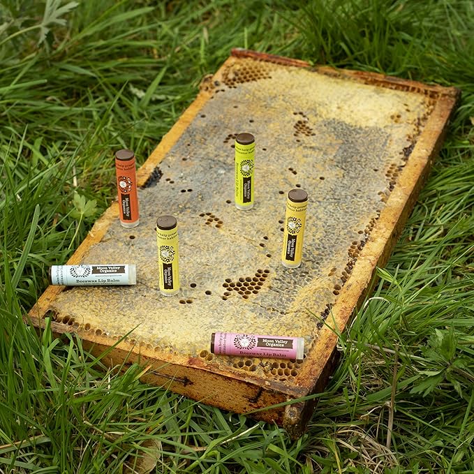 Moon Valley Organics Beeswax Lip Balm for Moisturizing Lips and Cuticles (ZINGY CINNAMON, 1-Pack)-Velvo Beauty