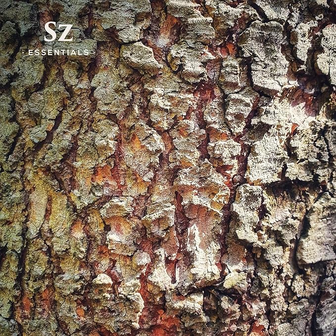 Cedarwood Essential Oil (Cedrus Atlantica) – Therapeutic Grade, 100% Pure & Natural with Soothing Woodsy Aroma for Relaxation, Aromatherapy, Skin Care & Diffuser - 0.17 fl oz. (5ml)-Velvo Beauty