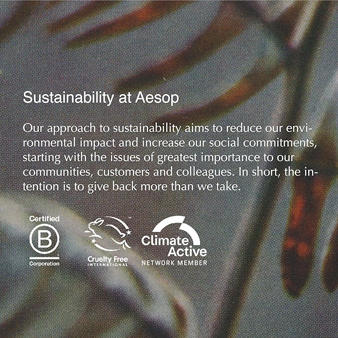 Aesop Redemption Body Scrub | Finely Milled Pumice and Aromatic Botanicals to Polish the Skin | 6.5oz / 180mL-Velvo Beauty