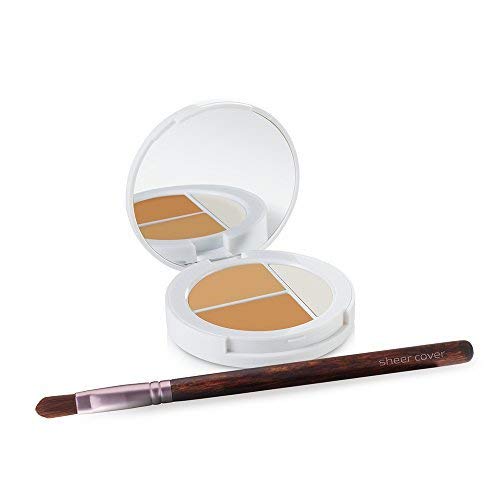Sheer Cover Studio – Conceal and Brighten Highlight Trio – Two-Toned Concealers – Shimmering Highlighter – Medium/Tan Shade – With FREE Concealer Brush – 3 Grams-Velvo Beauty