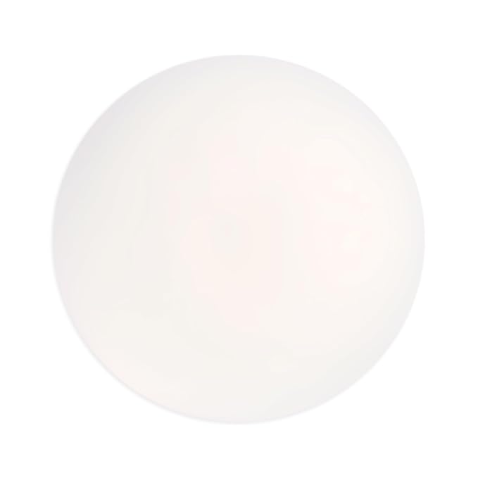 wet n wild 5 In 1 Essence Face Makeup Primer Liquid-Velvo Beauty