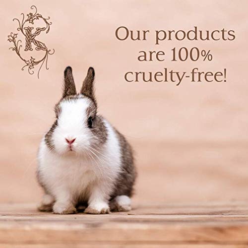 Shelley Kyle Lorelei Mini Gift Set, Includes Travel Size Perfume, Lotion, and Shower Gel, Packaged in Beautiful Cream and Gold Gift Box with Ribbon-Velvo Beauty