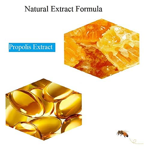 2PCS Lip Balm Honey Pot,Honey & Strawberry Lip Balm, Propolis Moisturizing Honey Lip Mask Lip Balm, Hydrating & Prevention Dry and Cracked Lip Scrubs Exfoliator-Velvo Beauty