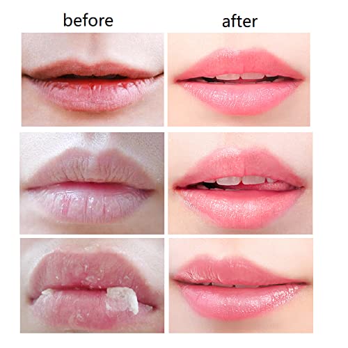 4 PCS Bee Lip Balm Honey Pot,Honey Lip Mask,Honey Propolis Lip Mask Moisturizing Moisture Nourishing Dry & Chapped Lips,Lip Care and Reduces Lip Lines,Lip Exfoliating-Velvo Beauty