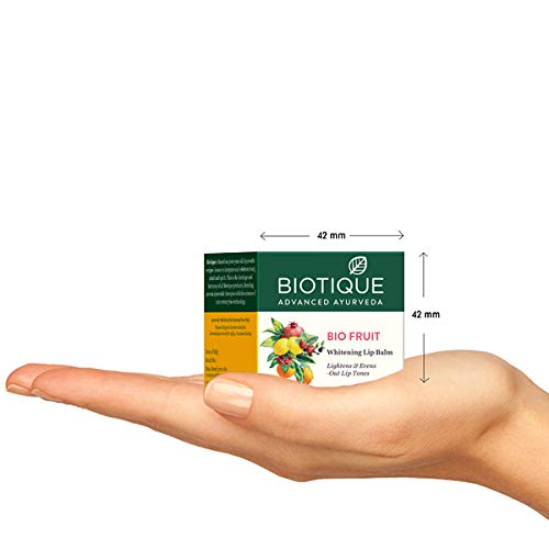Biotique Bio Fruit Lip Balm, 12 gm-Velvo Beauty
