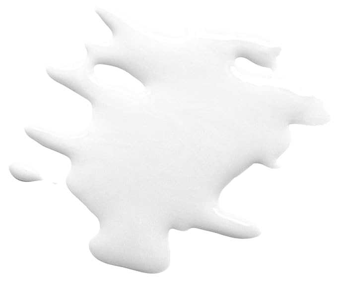 wet n wild Face Primer Photo Focus Matte Face Primer Clear Partners in Prime-Velvo Beauty