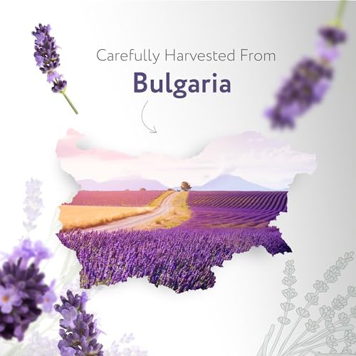 HBNO California Bottled Organic Lavender Essential Oil 1 fl oz (30ml) - USDA Certified Organic Lavender Oil for Skin, Perfect for Cleaning, Aromatherapy, DIY & Diffuser-Velvo Beauty