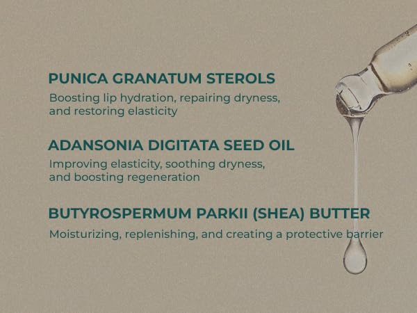 INNA Organic Lip Serum, Moisturizing, Fine Line Care & 100% Vegan, EWG & COSMOS Certified | Frankincense Essential Oils Infused Skin Care | Luxury Clean Beauty-Velvo Beauty