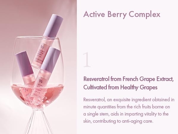 leegeehaam Dr.Ceuracle Vegan Active Berry Lip OilㅣAnti-Aging, Moisturizing, Revitalizing and GlowingㅣKorean Tinted Lip GlossㅣResveratrol from French Grape for Dry Lips, 0.15 Fl Oz-Velvo Beauty