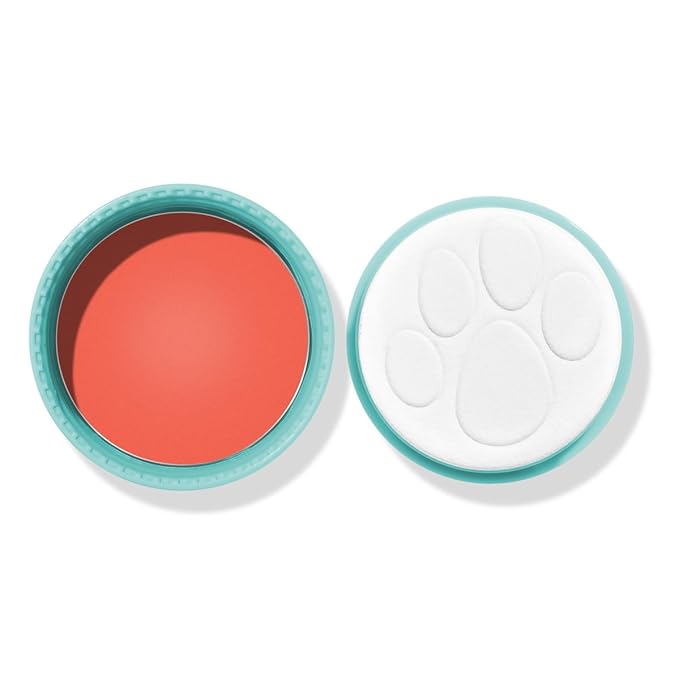 wet n wild Scooby Doo Collection Puppy Power! Cream Blush - It's Paw-ty Time-Velvo Beauty