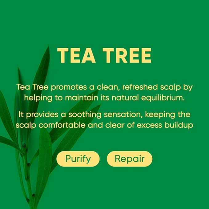Tea Tree Shampoo Bar 2.0 - Hydrating & Moisturizing Natural Hair Soap Bar Shampoo for Excess Oil Build-Up & Scalp Nourishment - Bathing Soap Solid Shampoo for All Hair Types (120g, 4.23oz)-Velvo Beauty