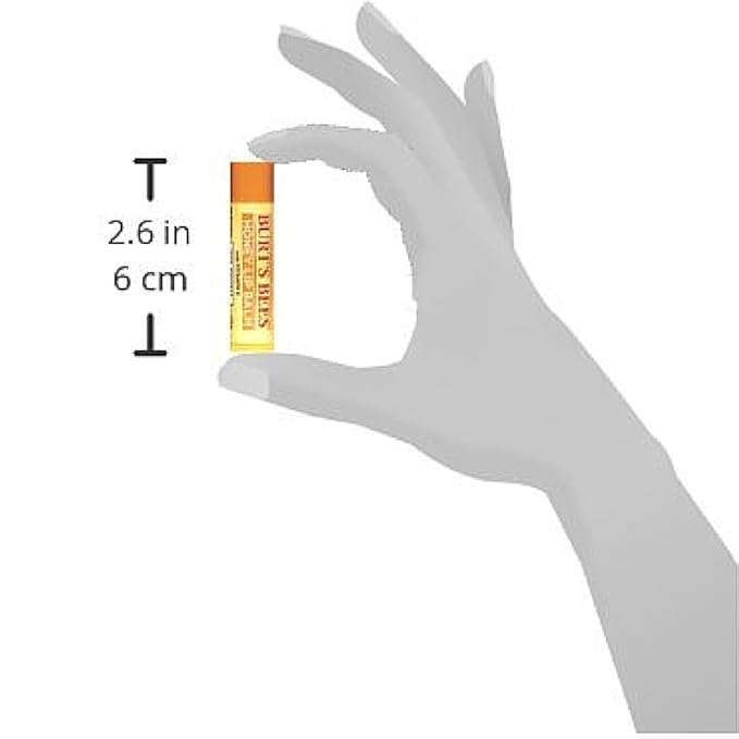 Burt's Bees Honey Moisturizing Lip Balm 0.15 oz (Pack of 12)-Velvo Beauty