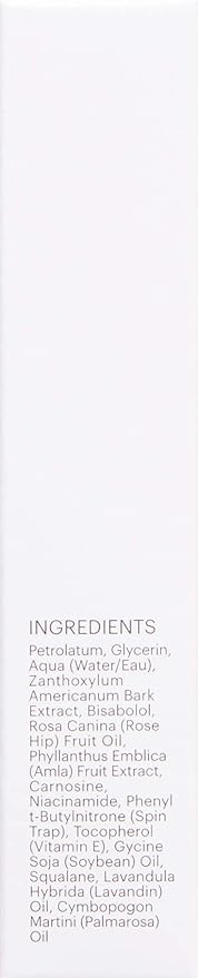 Glo Skin Beauty Barrier Balm | Repair and Restore Skin’s Comfort Levels With This Deeply Conditioning, Multitasking Lip Balm-Velvo Beauty