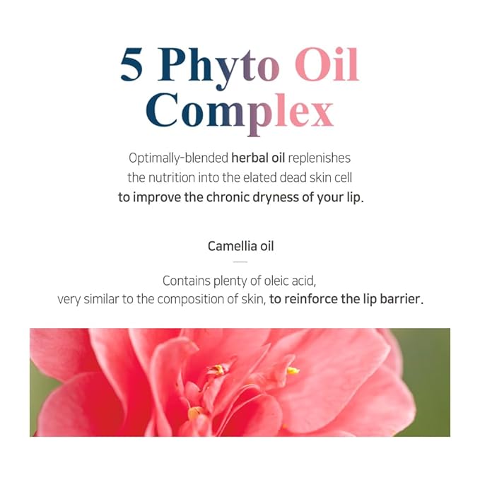 PETITFEE Sleeping Lip Mask Camelia Seed Oil 0.53 Oz. | Day & Night Repairing Balm, Overnight Lip Mask, Lip Treatment for Dull & Dry Lip, Deep Nourishing with Vitamin E, 5 Phyto Oil Complex-Velvo Beauty