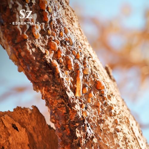 5-Year Aged Myrrh Premium Essential Oil – Rich, Earthy Aroma | Pure & Natural for Aromatherapy & Wellness - Therapeutic Grade & Vegan - 100% Pure and Natural - Undiluted - 0.17 fl oz.-Velvo Beauty