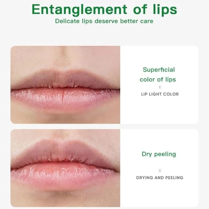 Avocado Lip Balm Vitamin E Conditioning Lip Stick Moisturizing Lips Reduce Fine Lines Relieve Dryness Long-Lasting Protection Nourishing Lip Care-Velvo Beauty