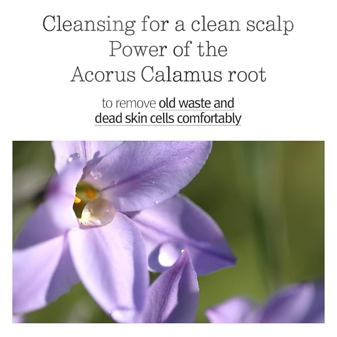 PYUNKANG YUL Hair&Body Travel Kit | Shampoo, Conditioner, Body Wash, Lotion, Spa Kit, 4 items | Low pH, Moisturizing, Soothing, Refreshing, Fragrance Free | Korean Skin Care | 3.38 Fl.Oz. x 4ea-Velvo Beauty