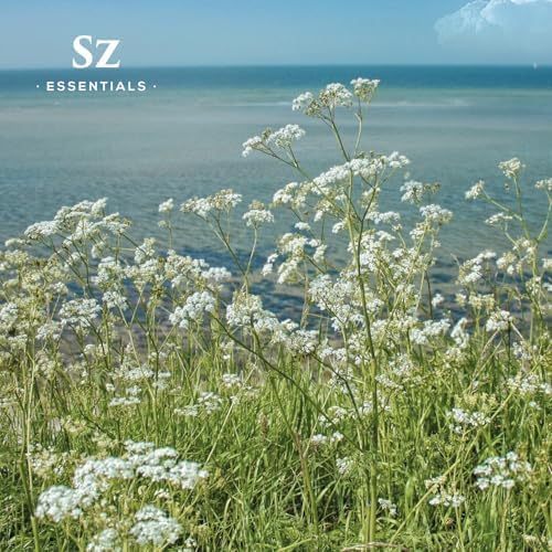 Blue Yarrow Essential Oil – 100% Pure – Calming & Grounding – Deep Blue Steam-Distilled Oil from Achillea millefolium – Aromatherapy, Self-Care & Natural Perfumery – 0.22 fl oz (6.5 mL)-Velvo Beauty