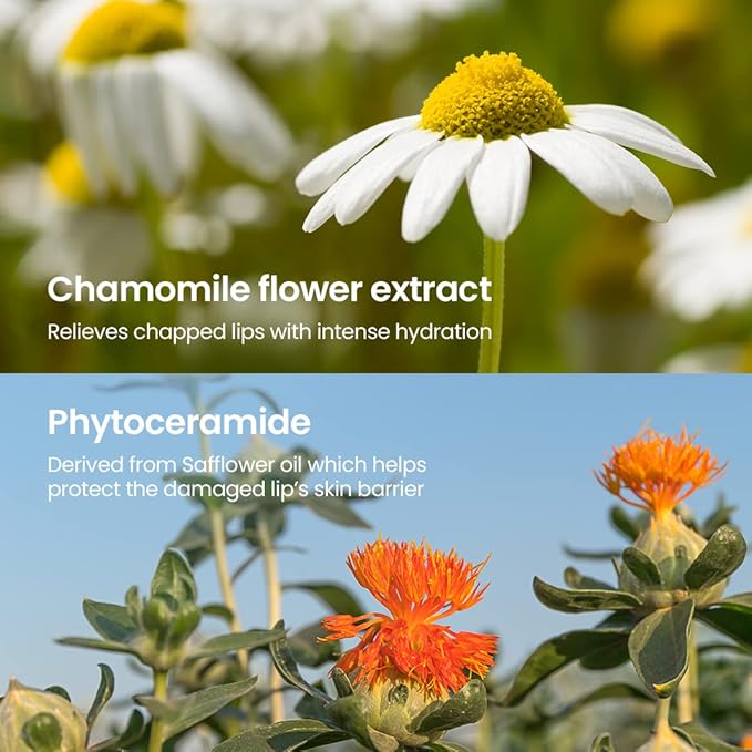 beplain Chamomile Intense Moisturizing Lip balm (0.13oz, 3.6g) | Dual core Lip moisturizer for dry, cracked, sensitive lips | Natural Daily Lip Care-Velvo Beauty