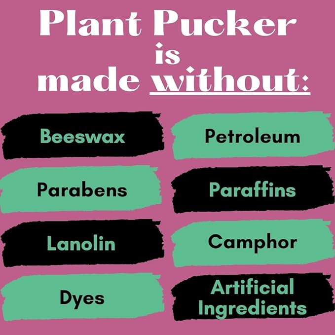 Vegan Lip Balm (3-Pack) (Pomegranate)-Velvo Beauty