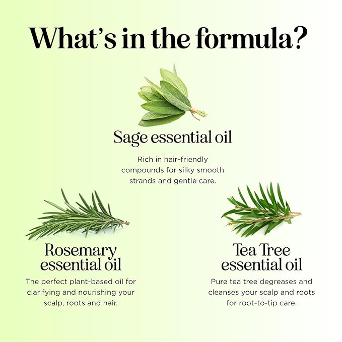 Sulfate Free Shampoo and Conditioner Set - Tea Tree Sage and Rosemary Shampoo and Conditioner for Dry Flaky Scalp Care - Deep Cleansing Color Safe Shampoo and Conditioner for Damaged Dry Hair Care-Velvo Beauty