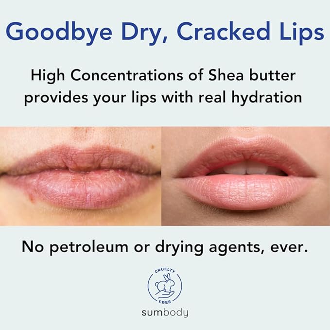 Lip Balm Beeswax Gift Set -Assorted Flavors, Shea & Coconut Butters Nourishing Soothing Lip Moisturizer for Dry Cracked Chapped Lips, Made in USA 100% Natural Ingredients, for women Men kids-Velvo Beauty