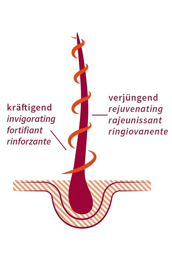 khadi STRONG AMLA hair oil, 100% natural, herbal, vegan, promotes growth, prevents hair loss & gray hair, strengthens roots, silicone-free, Ayurvedic hair care, organic beauty 1.69oz-Velvo Beauty