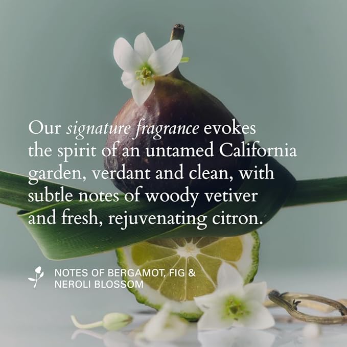 RŌZ Foundation Shampoo For All Hair Types & Textures | Hydrating, Balancing & Cleansing For Healthy Hair| Vegan, Color-Safe, Free of Silicone, Paraben, SLS | Strengthens & Nourishes 10.1 oz/300 mL-Velvo Beauty