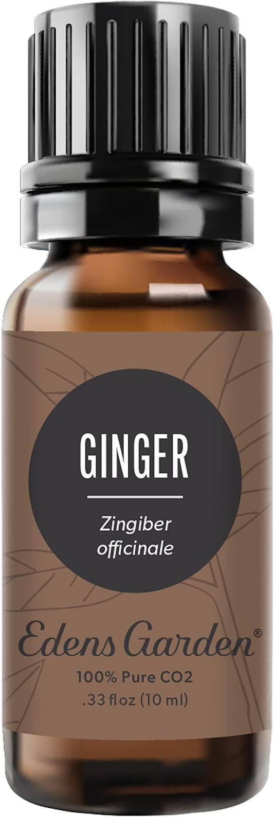Edens Garden Ginger CO2 Essential Oil- 100% Pure Premium Grade, Undiluted, Natural, Therapeutic, Aromatherapy, The Best for Diffuser, Candle, Laundry, Humidifiers 10 ml (.33 fl oz)-Velvo Beauty