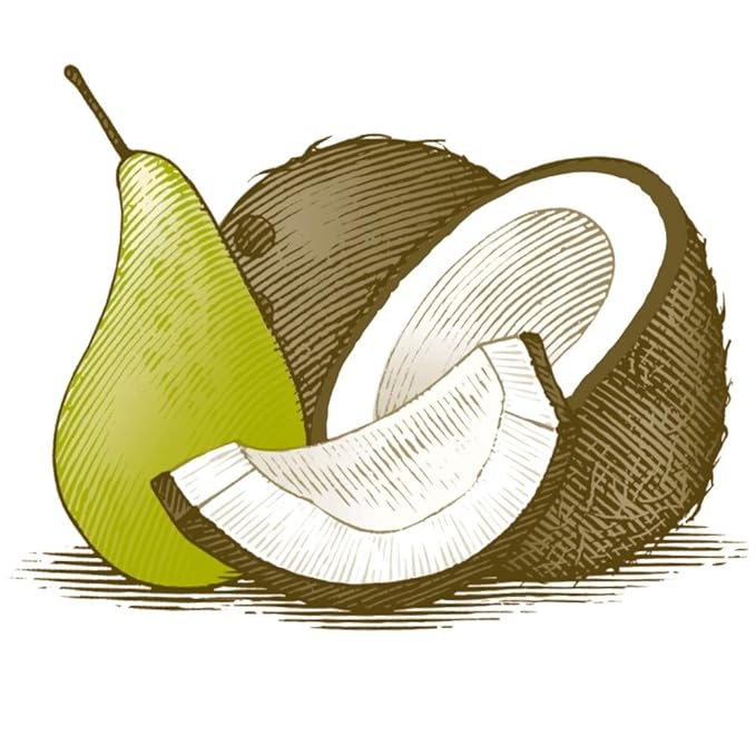 Burt's Bees Lip Balm Mothers Day Gifts for Mom - Coconut and Pear, Lip Moisturizer With Responsibly Sourced Beeswax, Tint-Free, Natural Origin Conditioning Lip Treatment, 2 Tubes, 0.15 oz.-Velvo Beauty