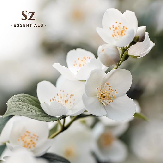 Jasmine Absolute Essential Oil – 100% Pure & Undiluted – 4 Jasminum Species – Divine Floral & Exotic Scent! – Aromatherapy & Natural Perfumery - Therapeutic Grade & Vegan – 0.17oz (5mL)-Velvo Beauty