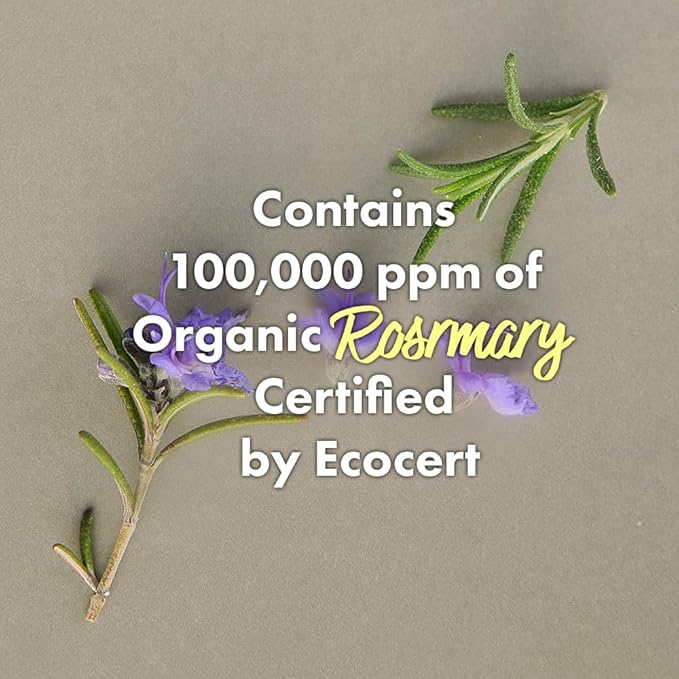 RATED GREEN Cold Brew Rosemary Balancing Scalp Pack w. Charcoal | Detoxifying and Deep Conditioning Care For Oily, Flaky Scalp | Silicone-Free, Korean Vegan Formula | 1.69 fl oz (Pack of 5)-Velvo Beauty