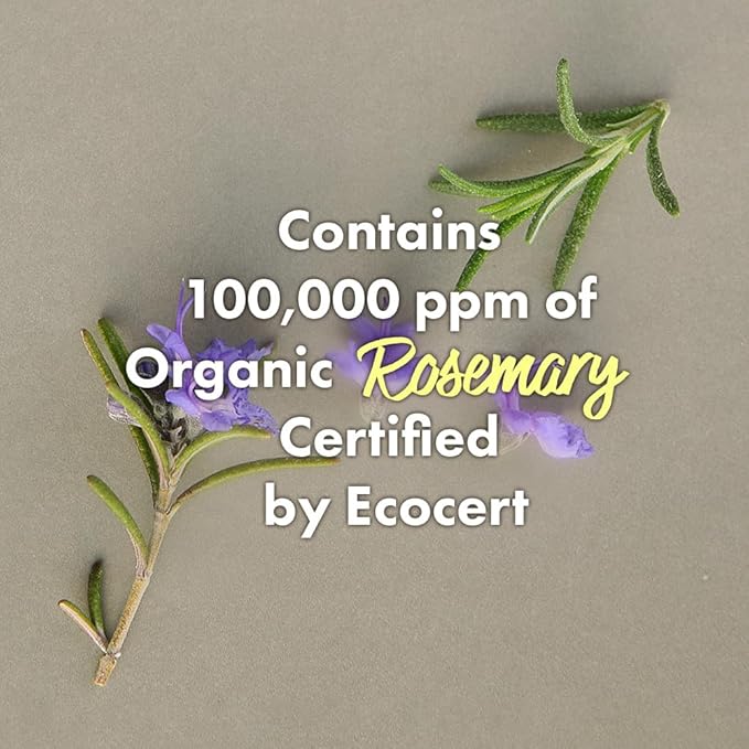 RATED GREEN Cold Brew Rosemary Balancing Scalp Pack w. Charcoal | Rosemary, Charcoal | Detoxifying and Deep Conditioning Care For Oily, Flaky Scalp | Silicone-Free, Korean Vegan Formula | 6.76 Fl. Oz-Velvo Beauty